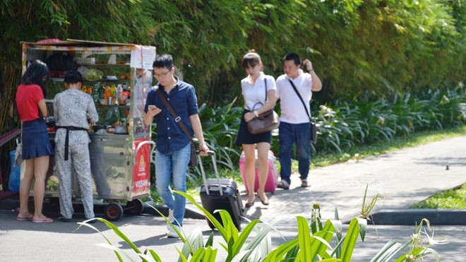 Ý tưởng xây cáp treo vào Tân Sơn Nhất táo bạo... nhưng “như nói đùa” - ảnh 2