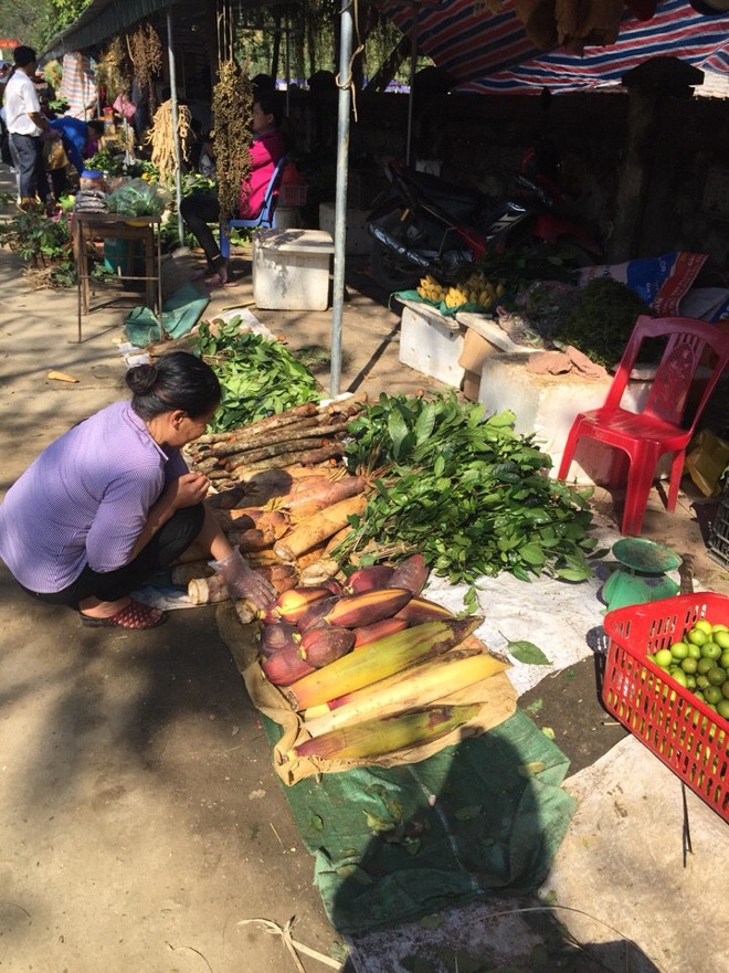 Lộc rừng được bày bán ở các đền, phủ - ảnh 6