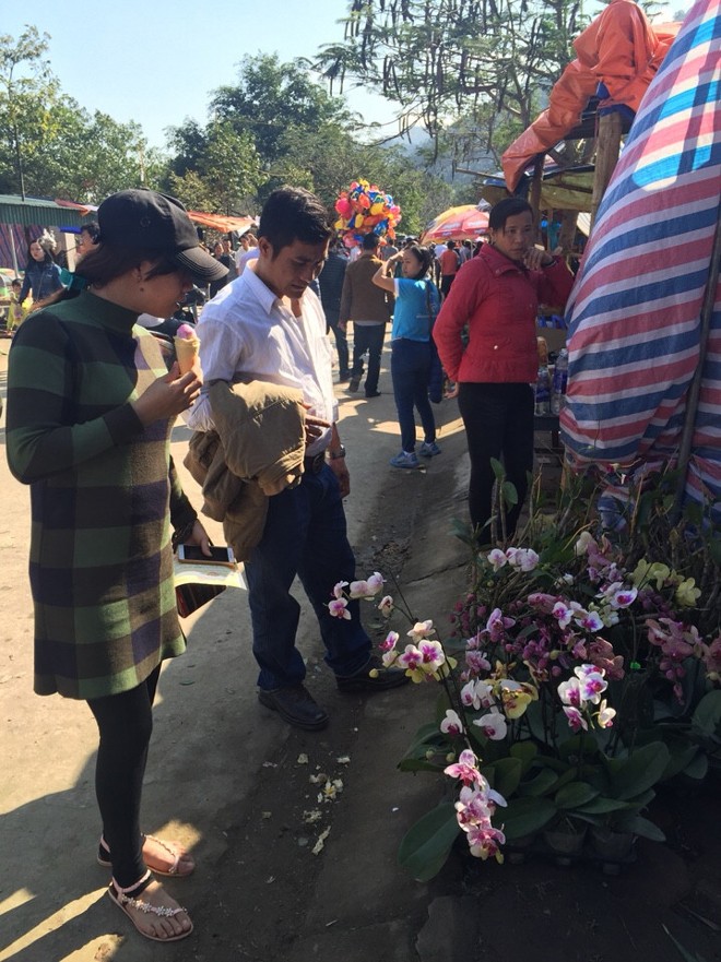 Lộc rừng được bày bán ở các đền, phủ - ảnh 4