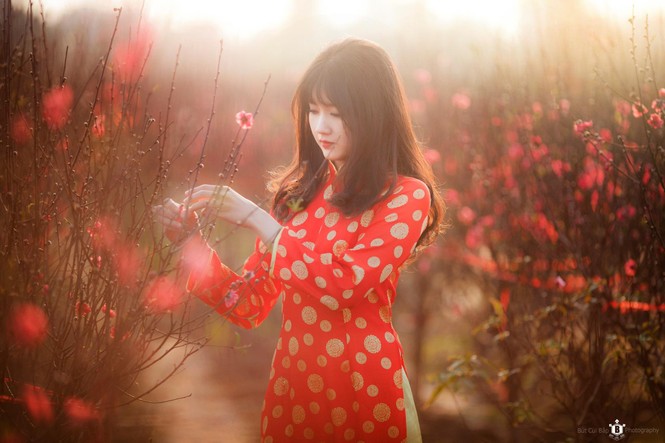 Hotgirl Việt góp mặt trong bộ ảnh về 155 nước của Reuters - ảnh 4