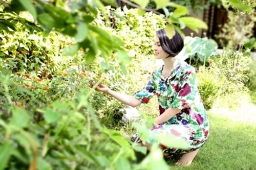 mc thanh mai - ảnh 1