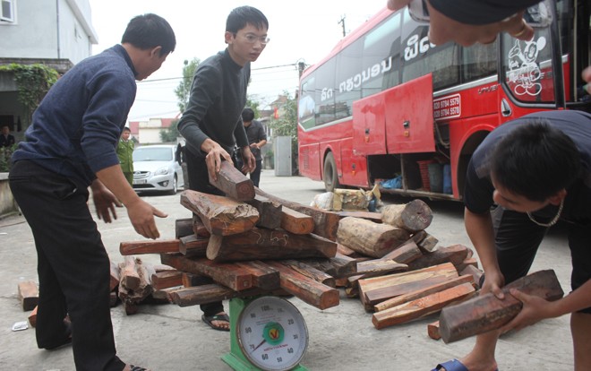 Cảnh sát, kiểm lâm phá ngăn bí mật giấu gỗ lậu trên xe khách - ảnh 8