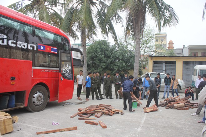 Cảnh sát, kiểm lâm phá ngăn bí mật giấu gỗ lậu trên xe khách - ảnh 9