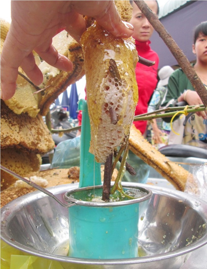 Mật ong rừng 'vượt biên' ở miền Tây hút khách - ảnh 2