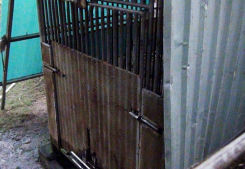 Nỗi lo từ vụ bé trai 3 tuổi bị gấu cắn đứt tay - ảnh 1