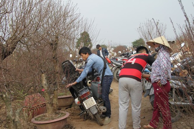 Giới trẻ đổ xô đi chụp ảnh, đường ra bãi đá tắc hàng giờ - ảnh 10