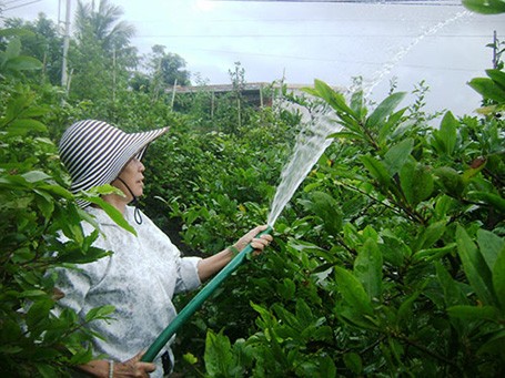 Giáo viên sợ... Tết - ảnh 1