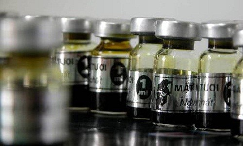 Xâm nhập lãnh địa nuôi gấu lấy mật giữa Hà Nội - ảnh 1
