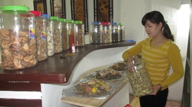 Chữa bệnh gout bằng bài thuốc bí truyền - ảnh 2