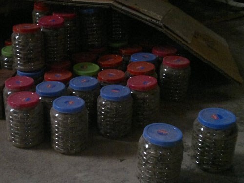 Chế thuốc gia truyền chữa bệnh thần kinh từ bắp rang, mật mía - ảnh 2