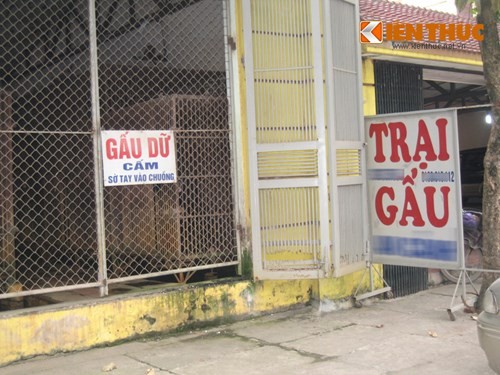 Xâm nhập lãnh địa nuôi gấu lấy mật giữa Hà Nội - ảnh 4