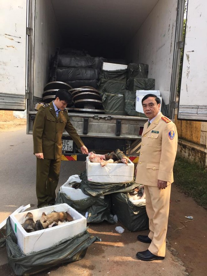 Hà Tĩnh: Bắt gần 1,5 tấn chân trâu không rõ nguồn gốc - ảnh 1