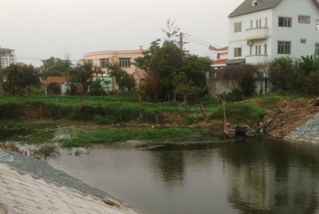 Khu dân cư kêu cứu vì bị... muỗi tấn công - ảnh 4