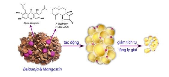 Dùng thuốc giảm cân thế nào cho đúng? - ảnh 1