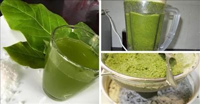 Trị sâu răng đơn giản với bài thuốc từ lá bàng - ảnh 3