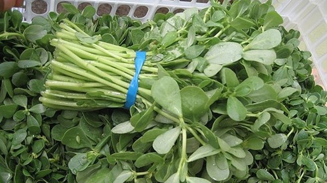 Trị mụn bọc, mụn trứng cá siêu nhanh bằng các loại rau vườn nhà - ảnh 1
