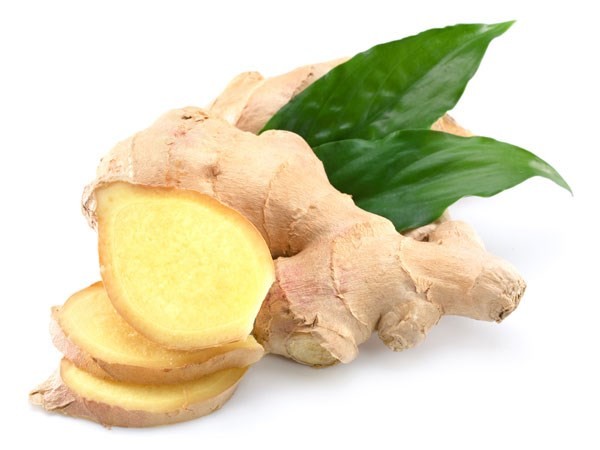 5 cây củ mạnh hơn thuốc kháng sinh chữa bệnh tuyệt vời - ảnh 1
