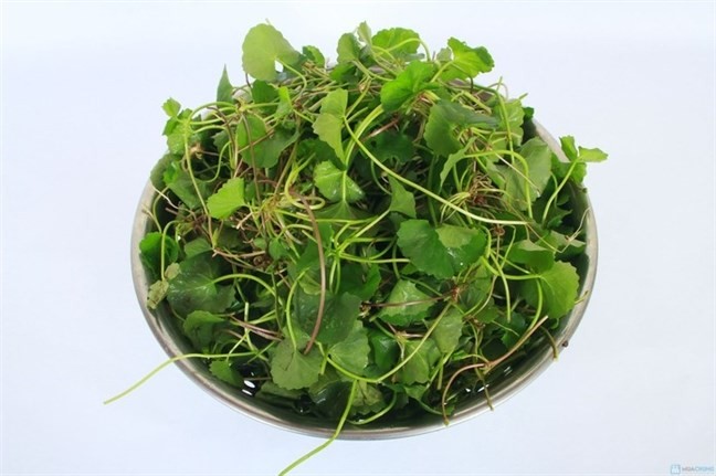 Trị mụn bọc, mụn trứng cá siêu nhanh bằng các loại rau vườn nhà - ảnh 5