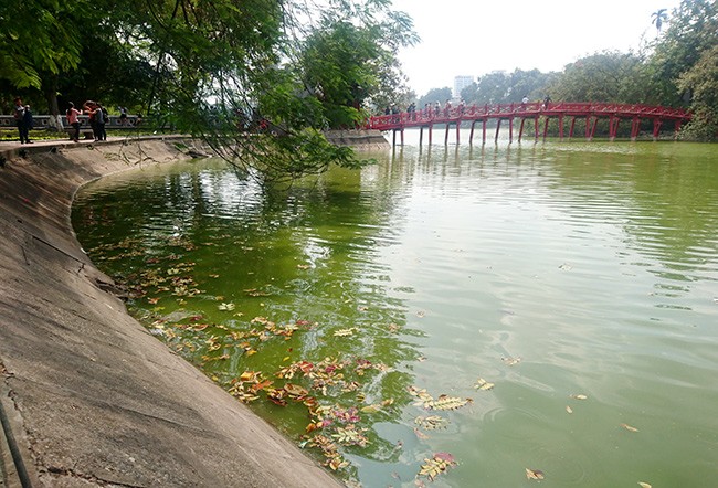 Diện mạo Hồ Hoàn Kiếm trước khi có thông tin nạo vét - ảnh 7