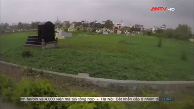 Sợ hãi không dám ăn rau muống sau khi xem phóng sự này - ảnh 1