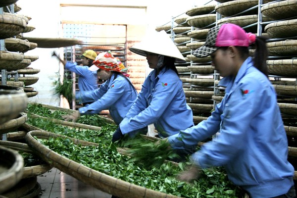 Chấm dứt dự án của nữ doanh nhân bị sát hại ở Trung Quốc - ảnh 1