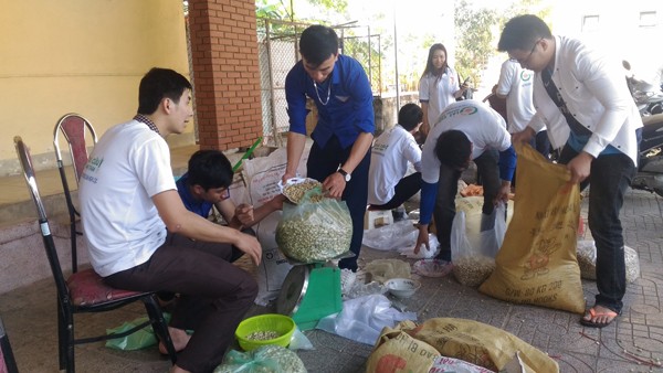 Thanh niên với chiến dịch 'giải cứu' hành tăm - ảnh 1