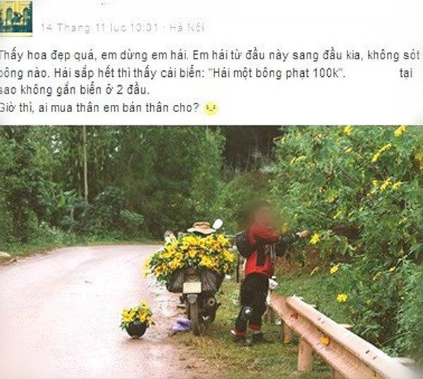Thực hư phượt thủ phi xe lên hàng ngàn con bướm để quay clip gây bão mạng - ảnh 4