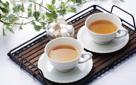 sốt xuất huyết - ảnh 2