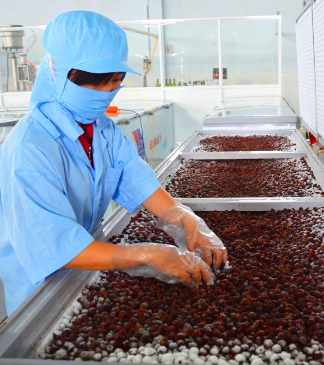 Mùa sim chín trên cao nguyên Kon Plông - ảnh 2