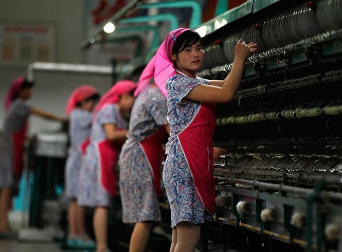 Nữ công nhân nhà máy sữa đang tích cực làm việc để chào mừng lễ kỷ niệm