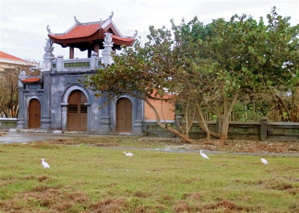 Chùa Trường Sa thật yên bình với 4 chú cò tha thẩn