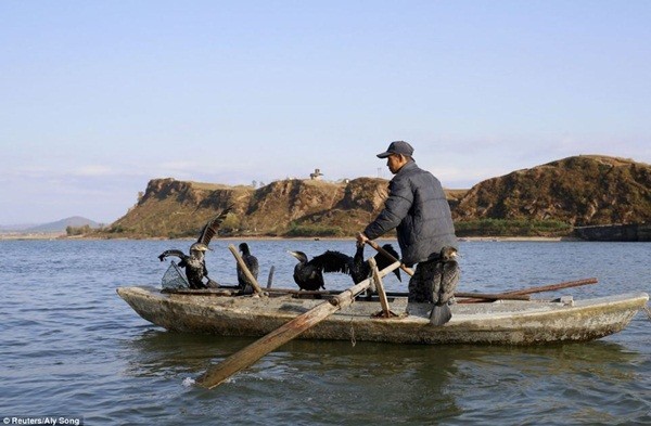 Ngư dân đang chèo thuyền trên sông Yalu
