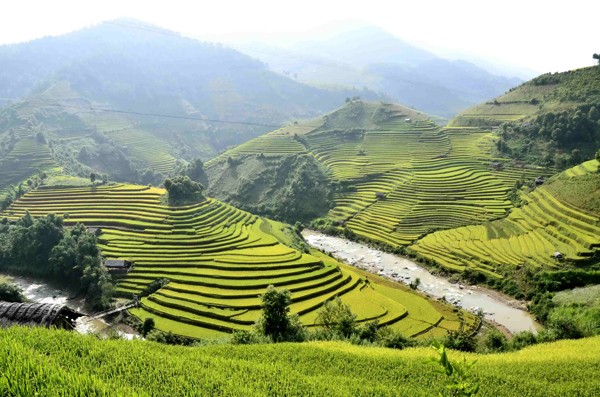 Đứng trên đỉnh núi cao, phóng tầm mắt xuống những đường nét uốn lượn mềm mại của các thửa ruộng bậc thang dưới chân những dãy núi xanh mờ, bạn sẽ cảm nhận được sự phóng khoáng, kỳ vĩ và tuyệt đẹp của cảnh sắc nơi đây.