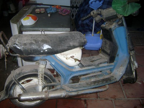Thích cái dáng đẹp, và khá độc của dòng SimSon nữ, nên ngay khi biết người bạn vừa đặt mua một chiếc từ Đà Lạt, anh Nguyễn Thành Long tìm đến năn nỉ mua lại. Ảnh: Thành Long