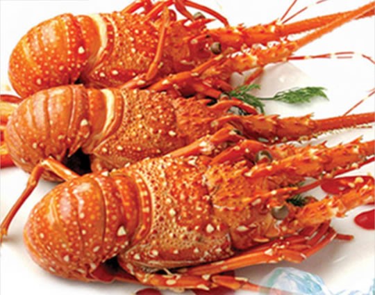 Dinh dưỡng cải thiện đời sống tình dục - ảnh 1