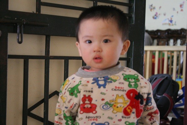 Gặp lại 2 bé sinh ra từ tinh trùng của người bố đã mất ở Hà Nội - ảnh 1