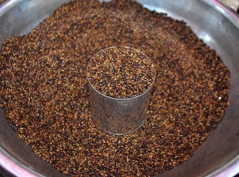 Hạt muồng Hạt muồng