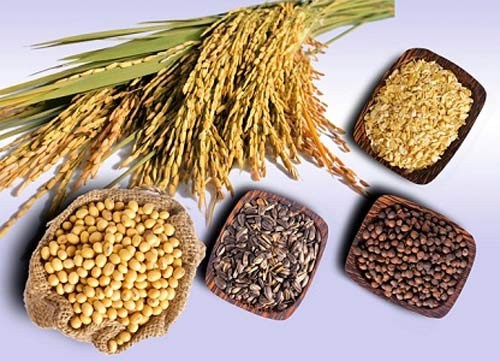Thực phẩm ngăn chặn nguy cơ đột quỵ