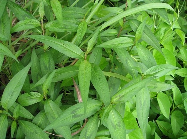 Những thực phẩm này 'phá hoại' quý ông