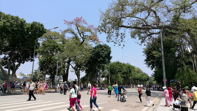 Hà Nội rực rỡ nắng vàng trong tiết trời cuối xuân - ảnh 12