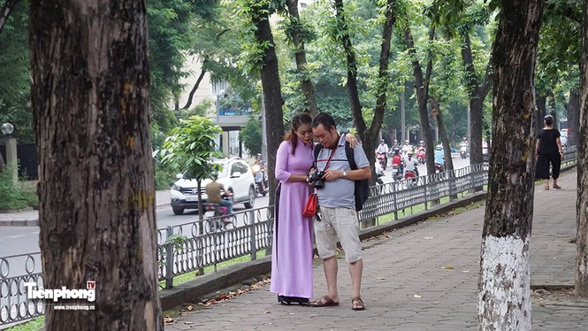 Hàng cây trên đường Kim Mã trước giờ chặt hạ, đánh chuyển - ảnh 7