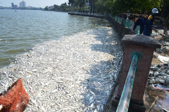Phó Thủ tướng giao Bộ Công an vào cuộc vụ cá chết ở Hồ Tây - ảnh 1