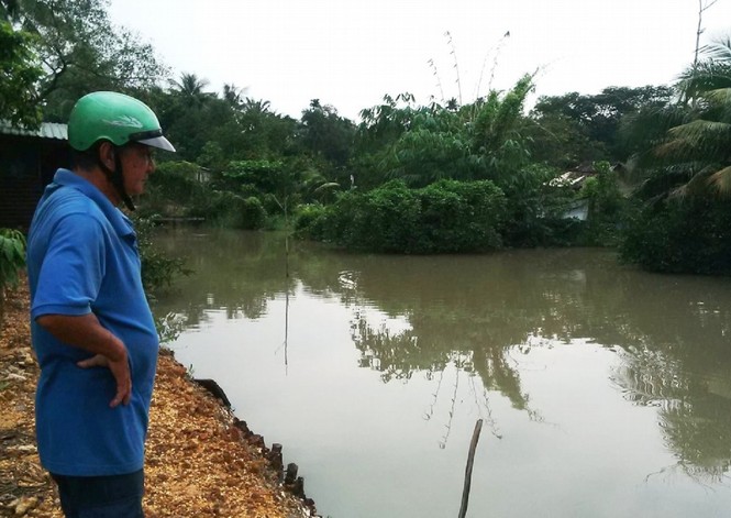 Triều cường gây ngập, người nuôi cá Sài Gòn khóc ròng - ảnh 1