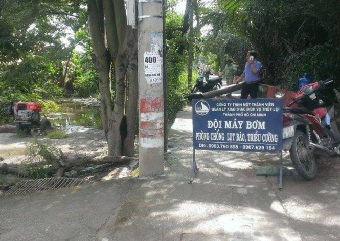 Triều cường gây ngập, người nuôi cá Sài Gòn khóc ròng - ảnh 2