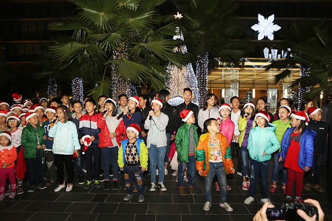 Cây thông Noel và những ngôi sao điều ước - ảnh 10