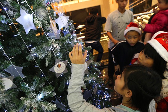Cây thông Noel và những ngôi sao điều ước - ảnh 9