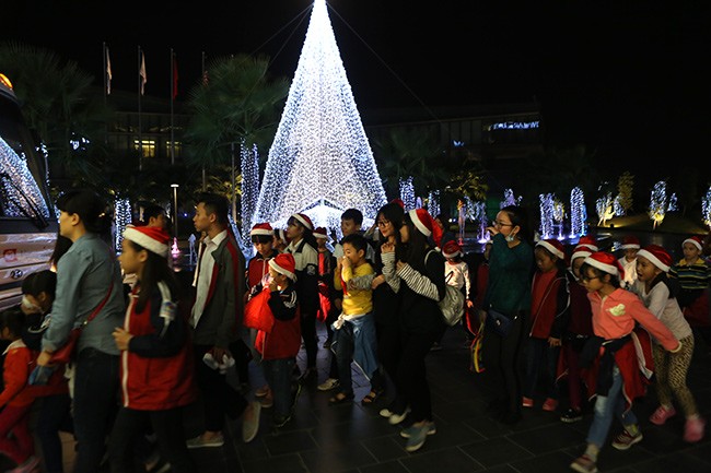 Cây thông Noel và những ngôi sao điều ước - ảnh 13