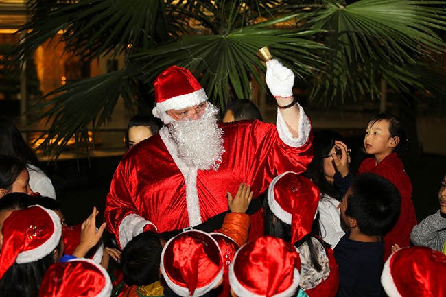 Cây thông Noel và những ngôi sao điều ước - ảnh 6