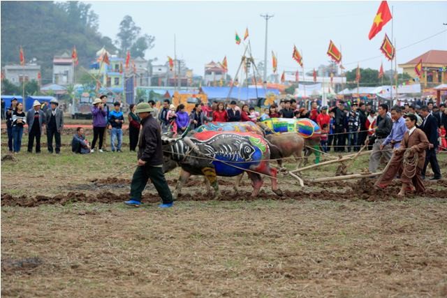 lễ hội tịch điền - ảnh 12