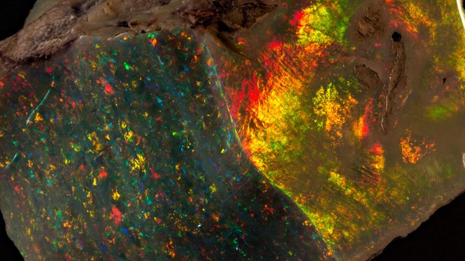 Nhìn gần khối đá opal siêu quý hiếm, giá hơn 20 tỉ đồng - ảnh 2